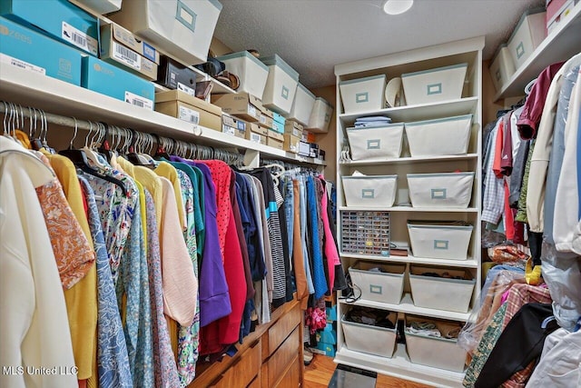 spacious closet featuring hardwood / wood-style floors