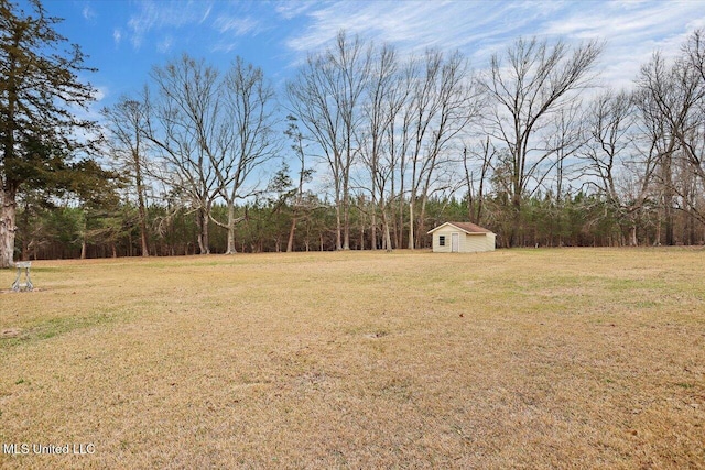 view of yard with a storage unit