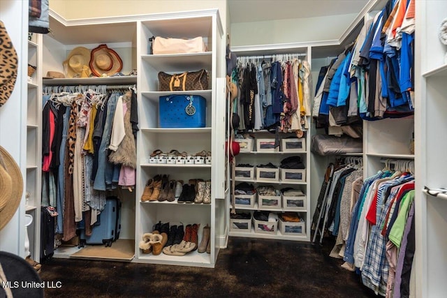 view of walk in closet