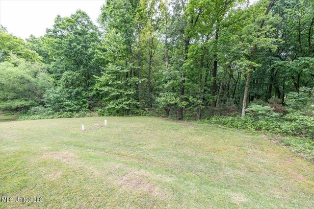 view of yard with a wooded view