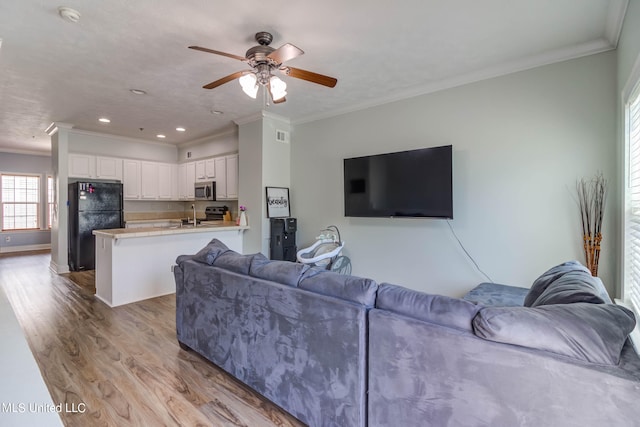 living room featuring ornamental molding, sink, light wood-type flooring, and ceiling fan