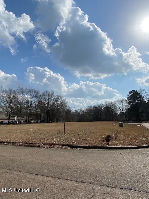 Ebenezer Blvd, Madison MS, 39110 land for sale