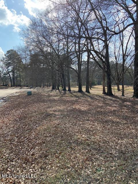 Listing photo 3 for Ebenezer Blvd, Madison MS 39110