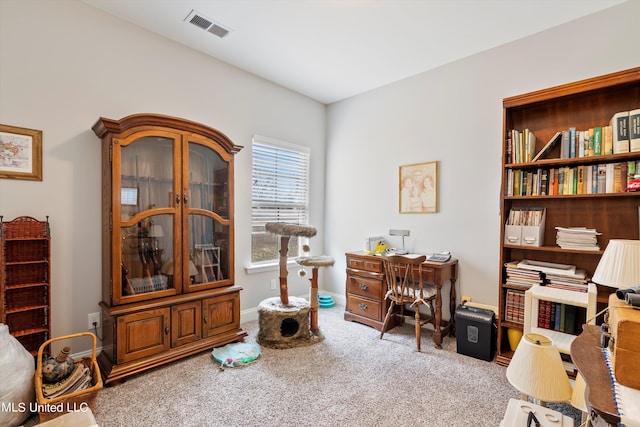 sitting room with carpet floors