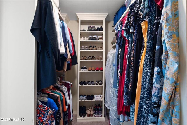 spacious closet with carpet