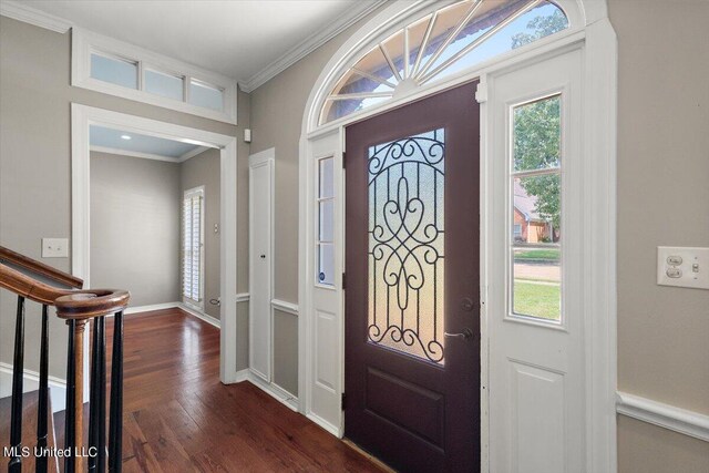 foyer featuring ornamental molding and dark wood-type flooring