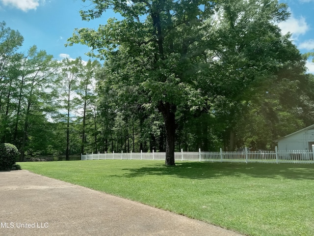 207 W Percy St, Indianola, MS 38751 - view of yard