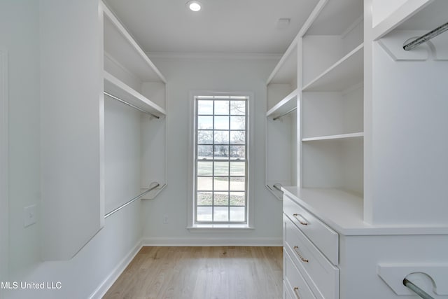 spacious closet featuring light hardwood / wood-style flooring