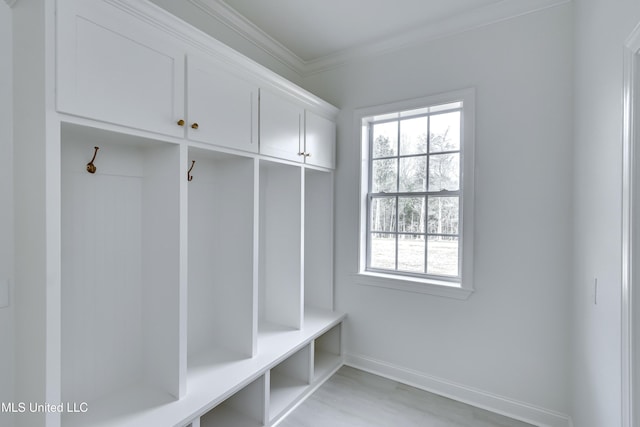 mudroom featuring crown molding