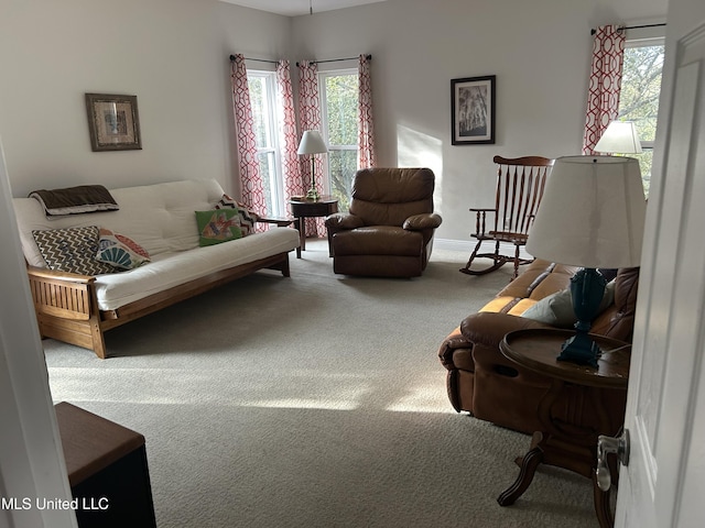 view of carpeted living area