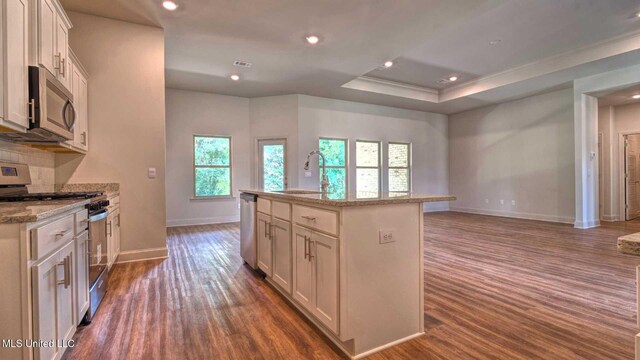 kitchen with tasteful backsplash, a center island with sink, appliances with stainless steel finishes, light stone countertops, and dark hardwood / wood-style floors