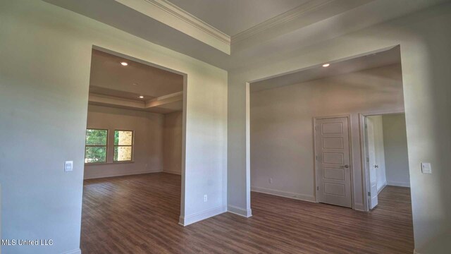 spare room with ornamental molding, dark wood-type flooring, and a raised ceiling