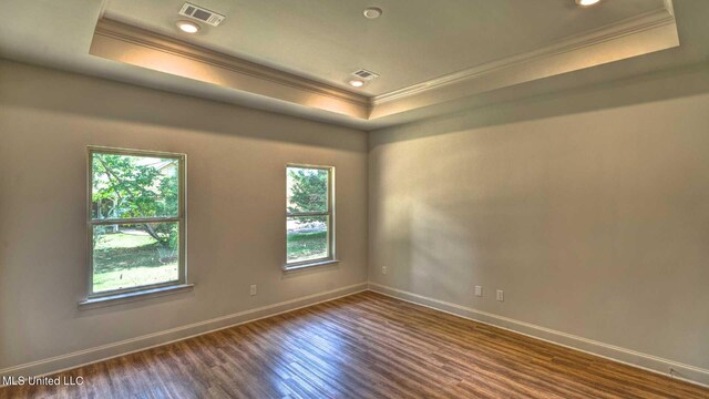 empty room with a wealth of natural light, ornamental molding, dark hardwood / wood-style floors, and a raised ceiling