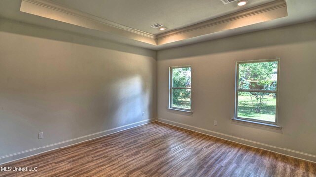 spare room featuring ornamental molding, a tray ceiling, and dark hardwood / wood-style flooring