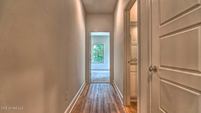 corridor featuring dark hardwood / wood-style floors