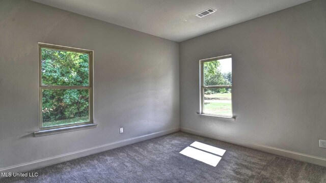 carpeted spare room featuring a healthy amount of sunlight