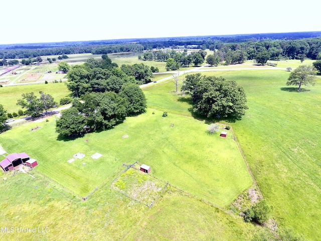 9414 Hillsboro Ludlow Rd, Lena, MS 39094 - overview of rural landscape