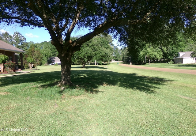 view of grassy yard