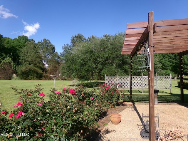 view of yard featuring a pergola