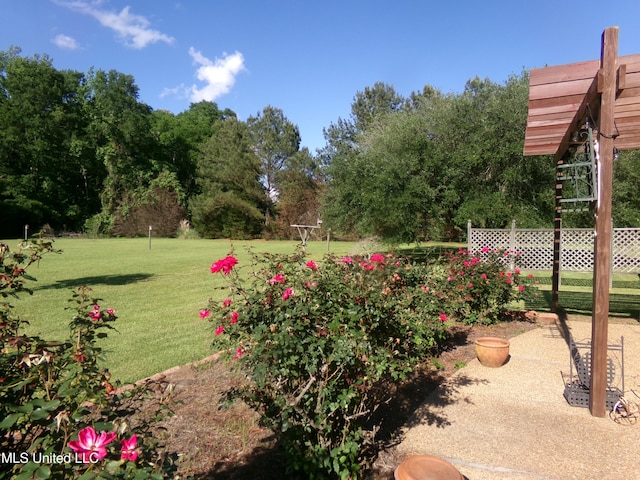 view of yard