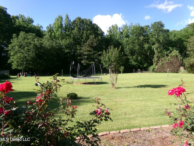 surrounding community with a trampoline and a lawn