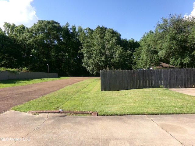 view of yard