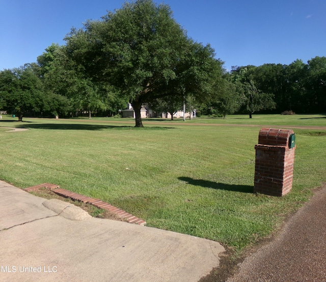 view of property's community with a yard