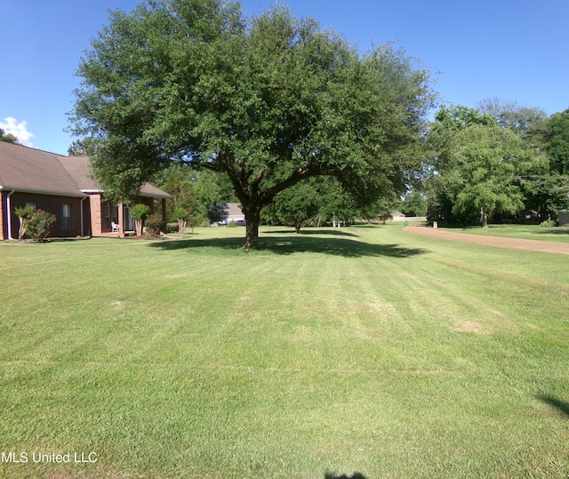 view of grassy yard