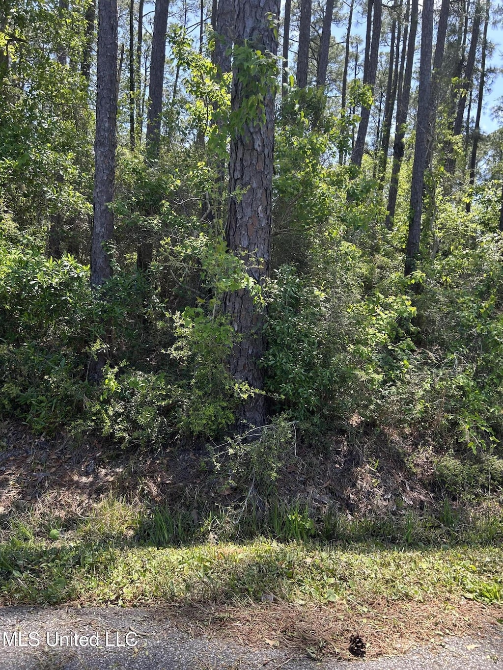 Parkview Ln, Pass Christian, MS 39571