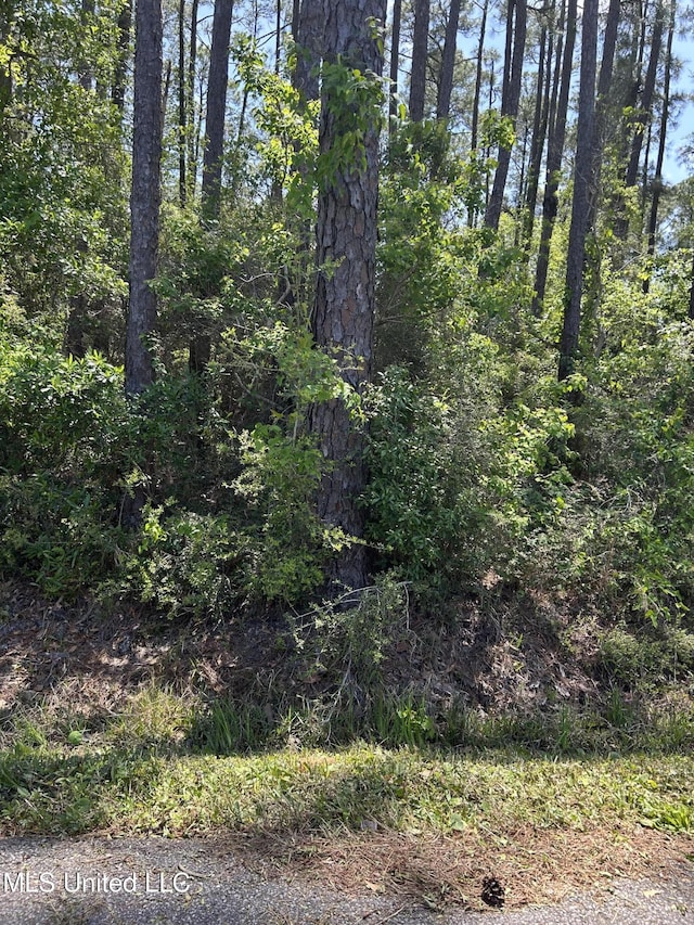 Parkview Ln, Pass Christian, MS 39571