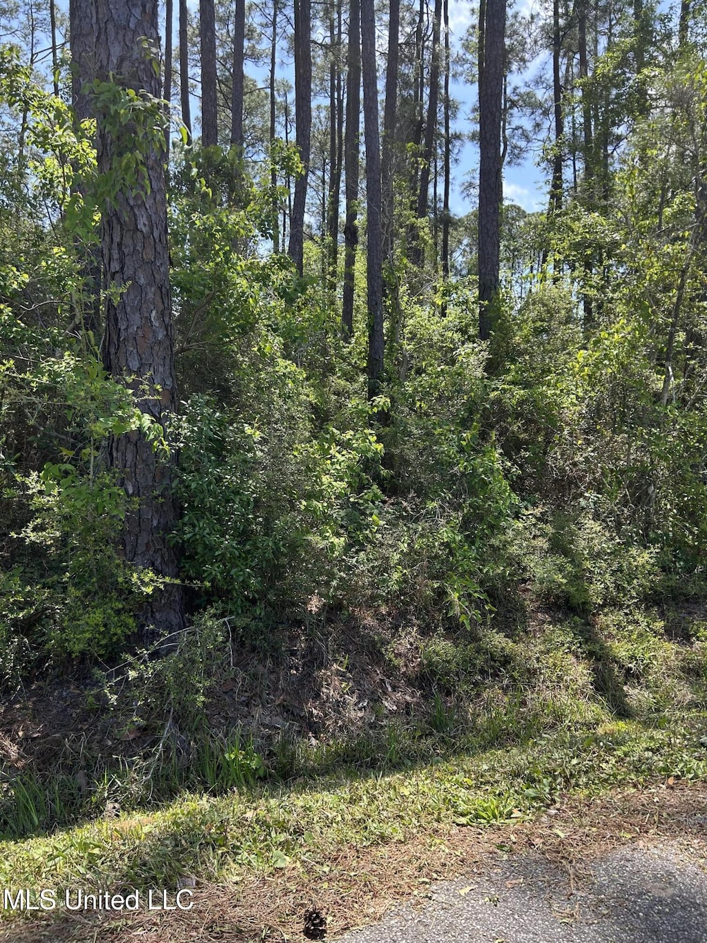 Parkview Ln, Pass Christian, MS 39571