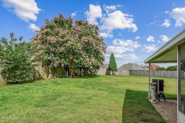 9015 Champlain Dr, Olive Branch, MS 38654 - view of yard
