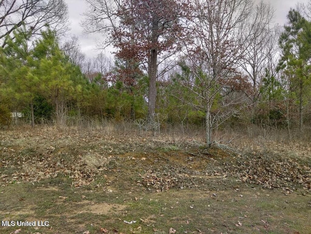 Strickland Farms, Byhalia, MS 38611