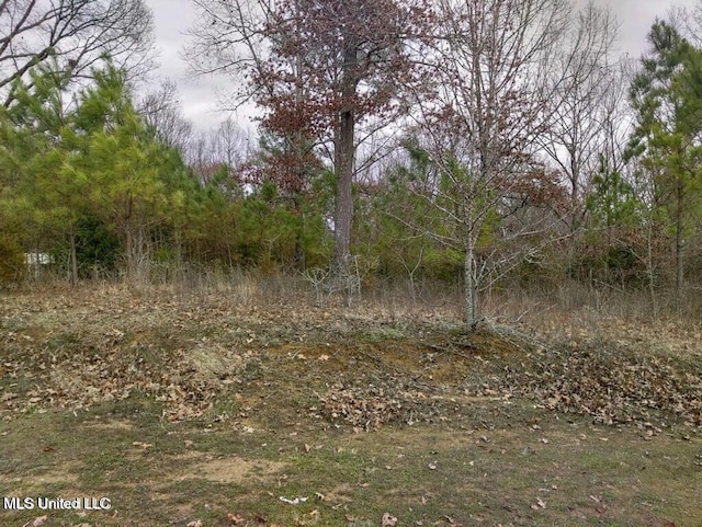 Strickland Farms, Byhalia, MS 38611