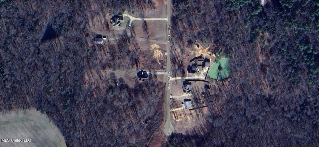 Strickland Farms, Byhalia, MS 38611