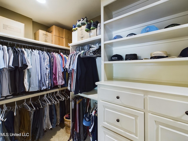 walk in closet featuring carpet floors