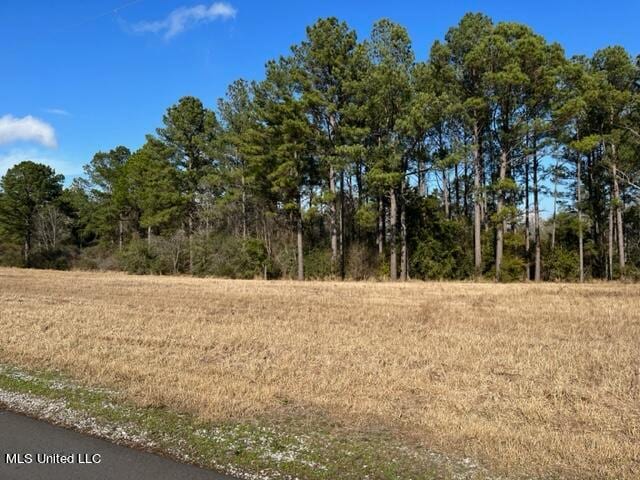 Listing photo 2 for TBA Southern Hills Dr, Lucedale MS 39452