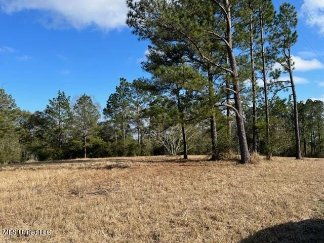 Listing photo 3 for TBA Southern Hills Dr, Lucedale MS 39452