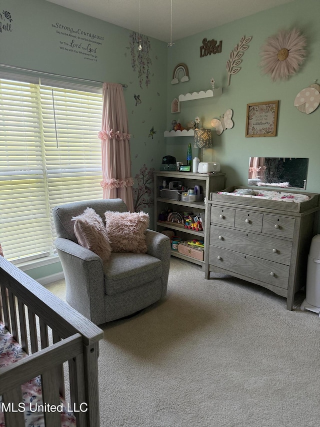 25 Dry Field Rd, Byhalia, MS 38611 - view of carpeted bedroom