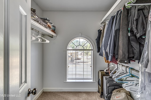 spacious closet featuring carpet floors