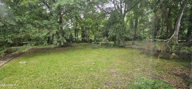 1080 Alta Vista Blvd, Jackson, MS 39209 - view of grassy yard