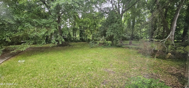 1080 Alta Vista Blvd, Jackson, MS 39209 - view of grassy yard