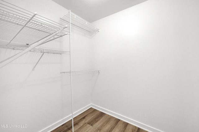 spacious closet featuring hardwood / wood-style floors