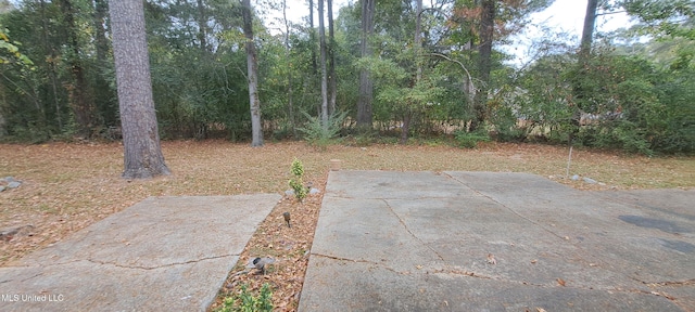 view of yard with a patio area