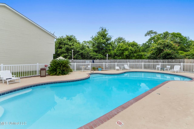 view of pool featuring a patio area