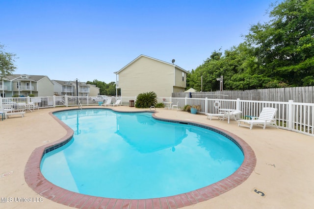 view of pool with a patio area