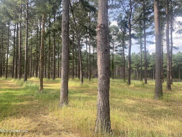 NHN City Bridge Rd, Wiggins MS, 39577 land for sale