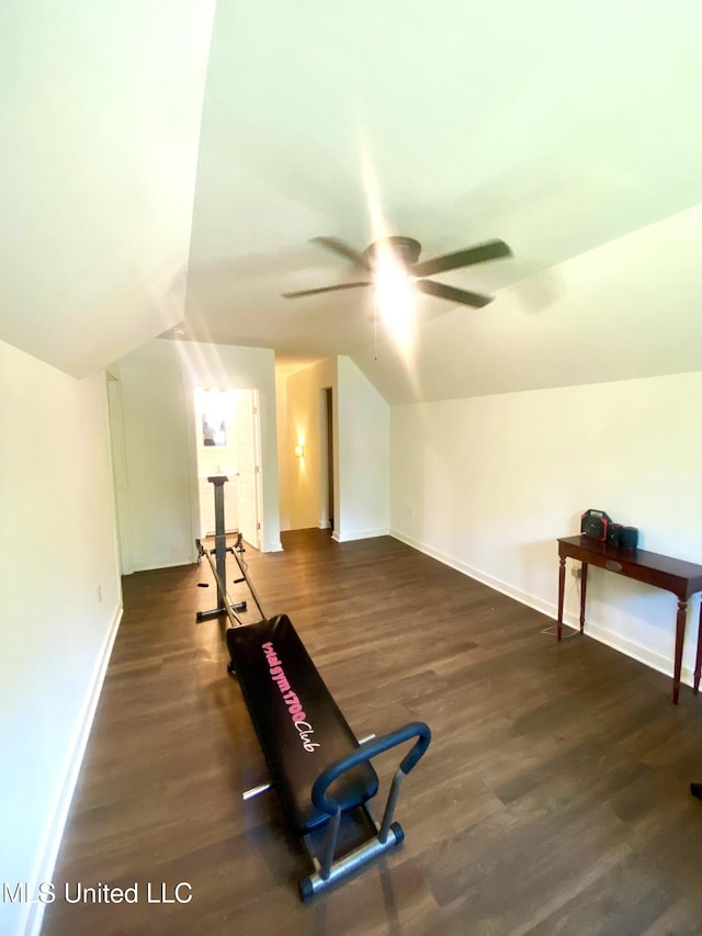 115 Pinedale Rd, Terry, MS 39170 - exercise room featuring ceiling fan, wood finished floors, and vaulted ceiling