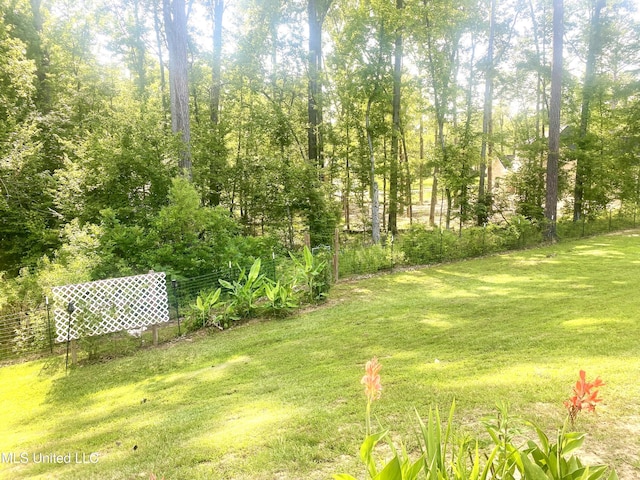 115 Pinedale Rd, Terry, MS 39170 - view of yard
