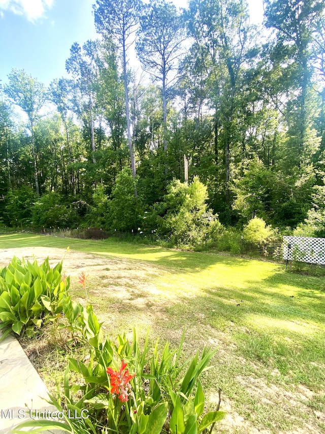 115 Pinedale Rd, Terry, MS 39170 - view of grassy yard